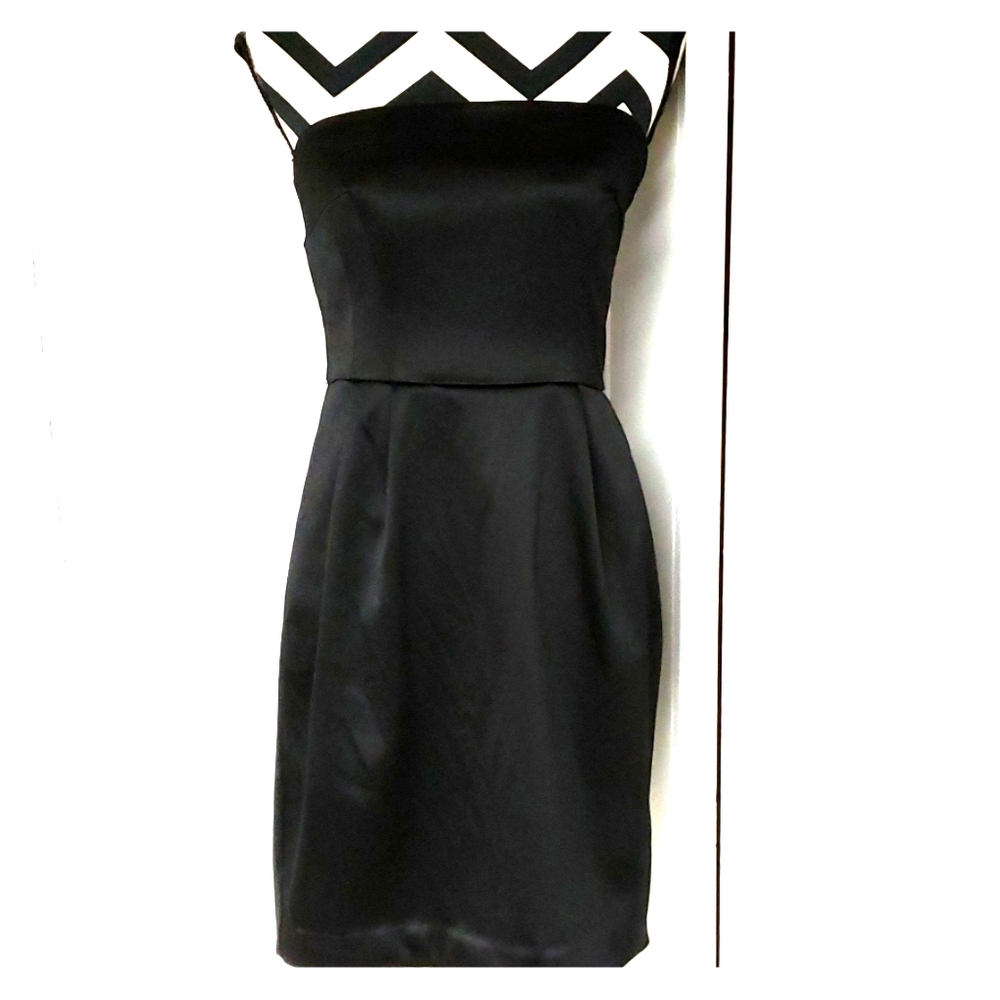 NWT Express satin bodycon dress